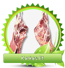 Karkas Et