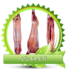 Oğlak Eti